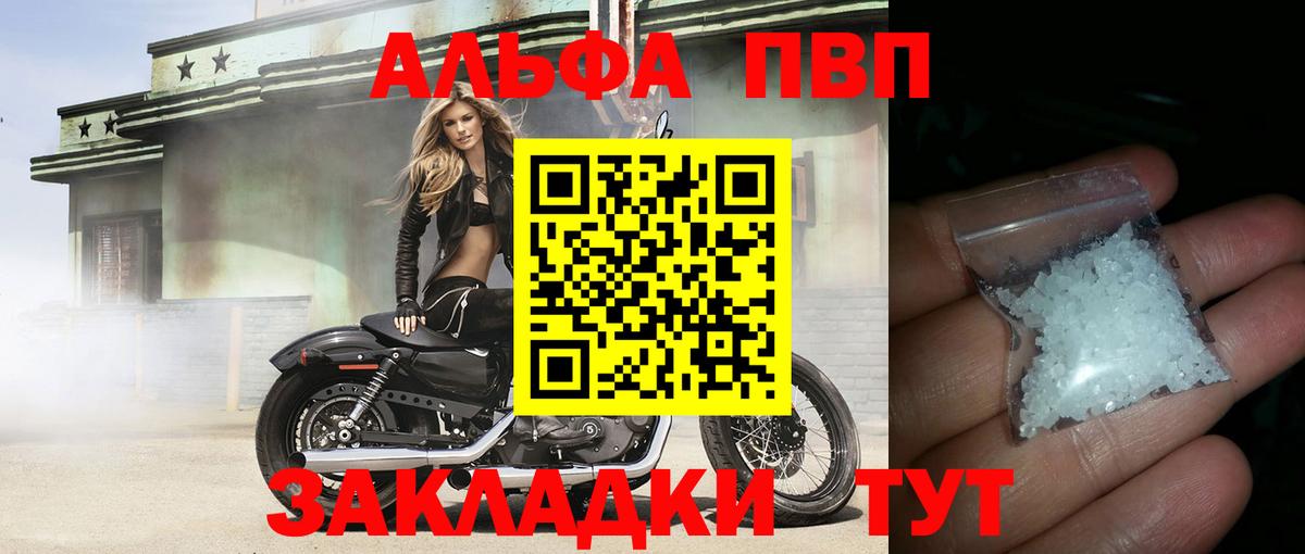 Alfa_PVP СК КРИС Шали