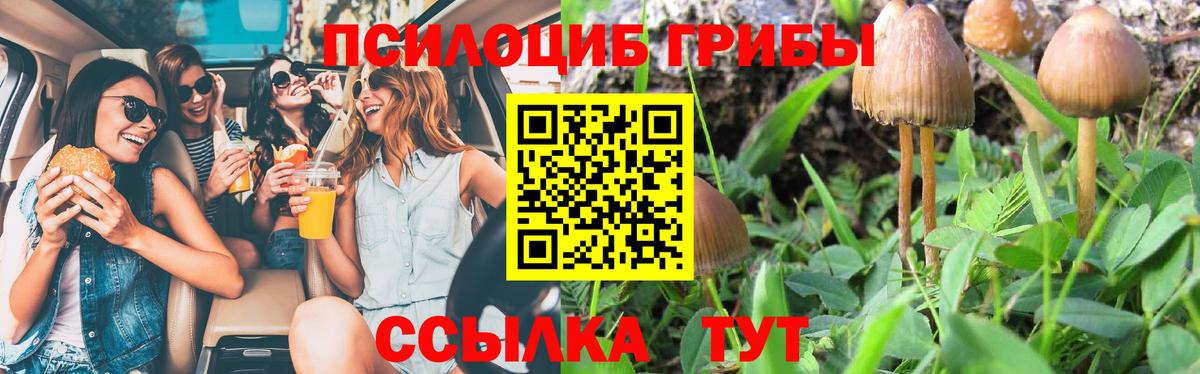 Шали  Псилоцибиновые грибы GOLDEN TEACHER  Вход с VPN  Псилоцибиновые грибы ЛСД 