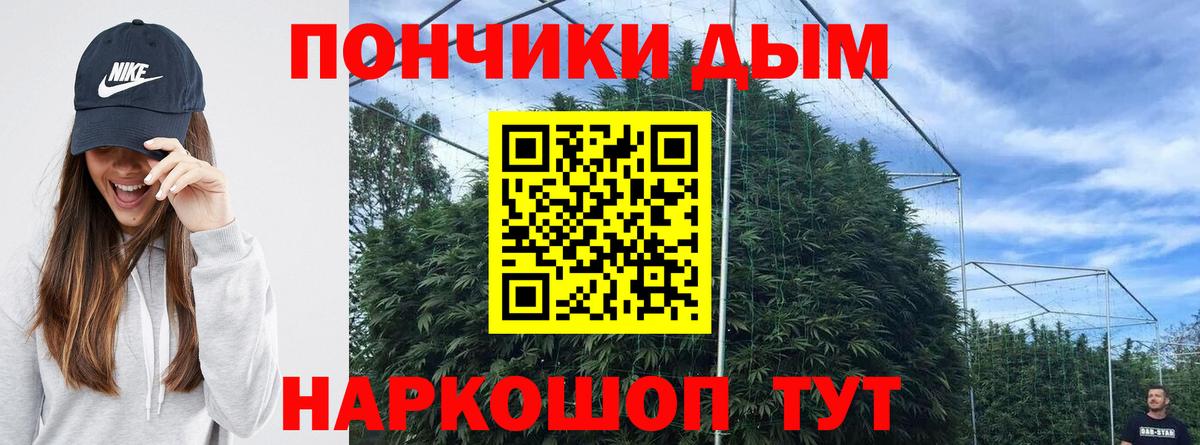 Бошки марихуана Ganja  Канабис семена  Конопля индика  Вход с VPN  Шали 